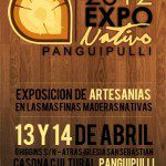 Exposición de Artesanías en Finas Maderas Nativas en Panguipulli