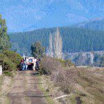 El Último Funeral Mapuche