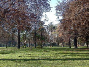 Cultura Mapocho invita a un recorrido por Quinta Normal 1 Quinta Normal/©Flickr/Miguel Ángel Labarca