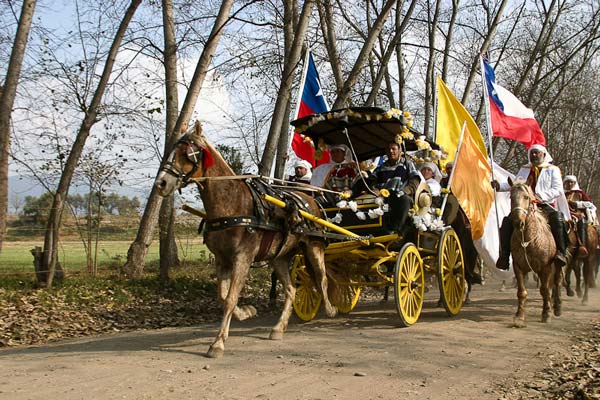 fotos de cuasimodo colina renca quilicura maipu lo barnechea tito alarcon identidadyfuturo.cl