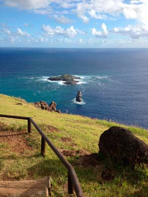 Cousteau Isla de Pascua identidadyfuturo.cl