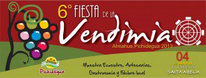 vendimia pichidegua