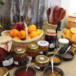 Exposición de Sabores Tradicionales del Campo se instala en Estación Mapocho