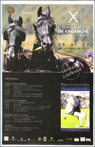 afiche concurso de carruajes lolol 2013