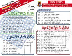 fiesta maucha 3