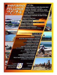 programa-fiestas-costumbristas-pelluhue