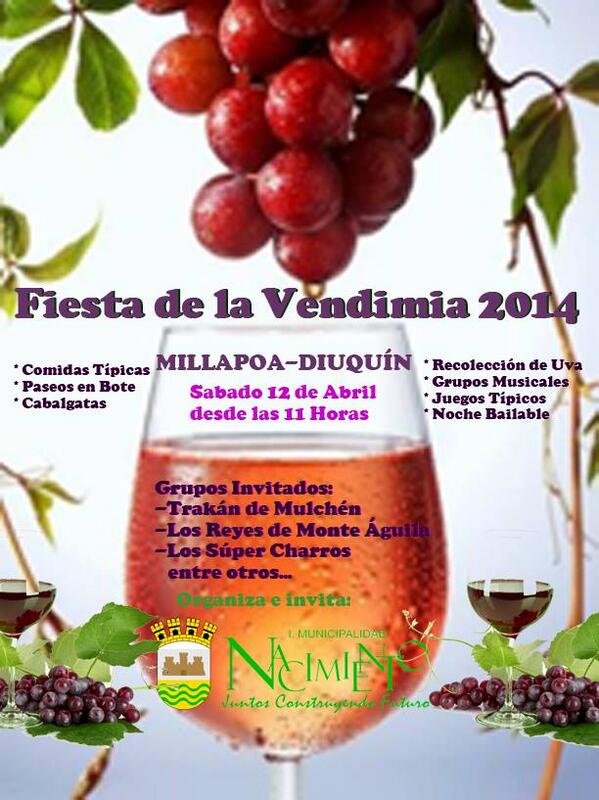 Fiesta de la Vendimia Nacimiento 2014 1 fiesta de la vendimia Millapoa diuquin 2014