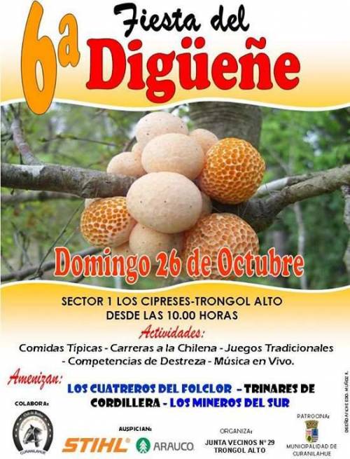 6ª Fiesta Costumbrista del Digüeñe en Curanilahue 1 6ª fiesta costumbrista del digüeñe en Curanilahue