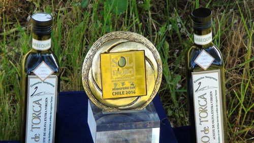 aceite de oliva oro de torca de vichuquén mejor del mundo identidadyfuturo.cl