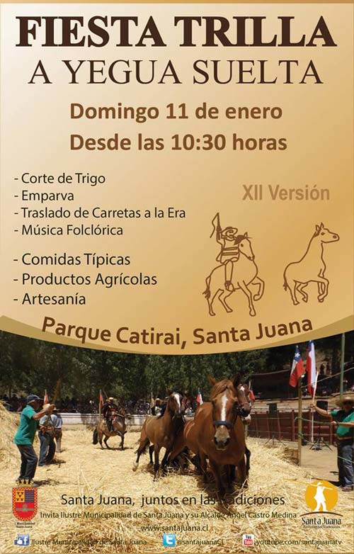 trilla a yegua suelta en santa juana 2015