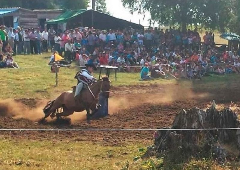 fiesta costumbrista de santa rosa paillaco