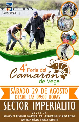 fiesta del camaron nueva imperial 2015