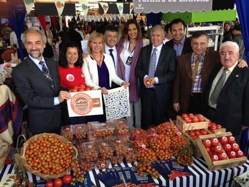 Tomate Limachino Recibe Sello de Origen 1 tomate limachino reibe sello de origen