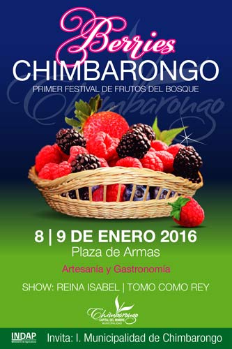Berries Chimbarongo, los frutos del bosque tienen su fiesta costumbrista 1 Berries Chimbarongo