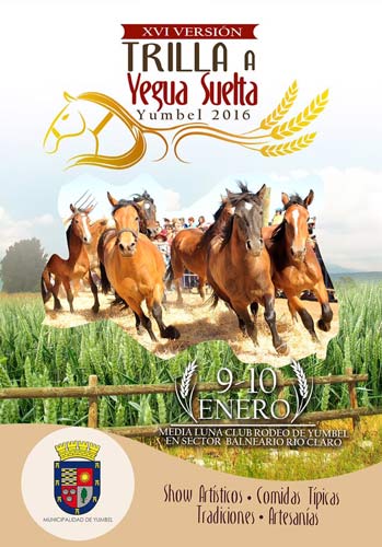 XVI Trilla a Yegua Suelta en Yumbel 1 trilla a yegua suelta en yumbel