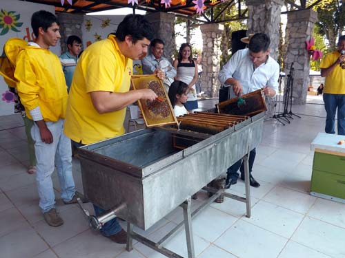 fiesta-de-la-miel-2016-santa-juana-biob-bio-500