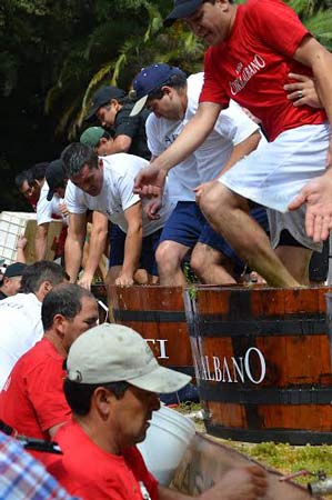 Fiesta de la Vendimia de Curicó 1 fiesta-de-la-vendimia-de-curico-500