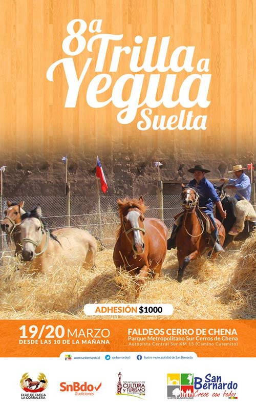 Trilla a Yegua Suelta en San Bernardo 1 trilla a yegua suelta en san bernardo