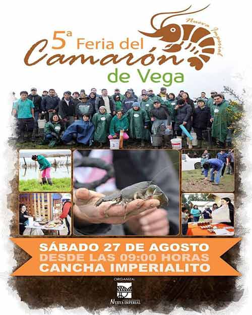 5 Fiesta Costumbrista del Camarón de Vega en Nueva Imperial