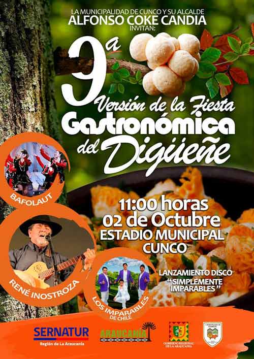 fiesta gastronomica del digueñe cunco