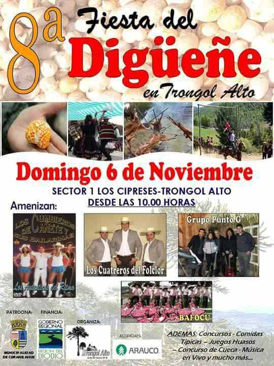 fiesta del digueñe en trongol alto 2016