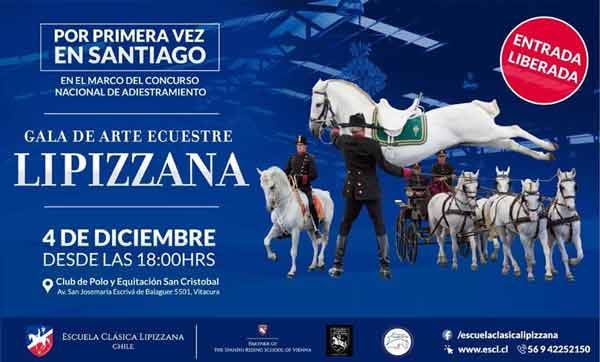 Gala de Arte Ecuestre Lipizzana en Santiago 1 Gala de Arte Ecuestre Lipizzana en Santiago