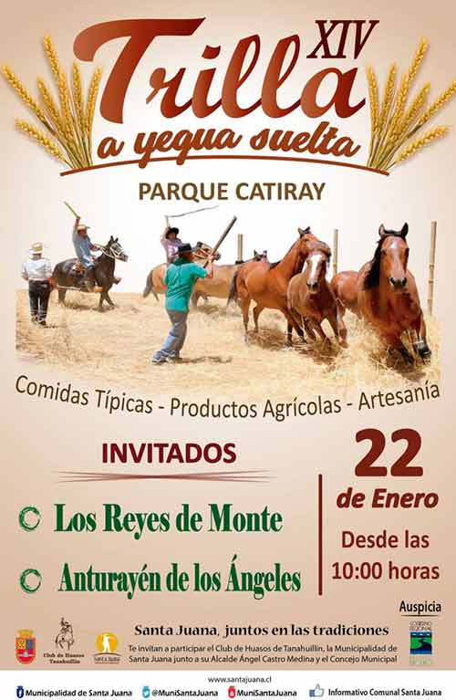 Trilla a Yegua Suelta en Santa Juana 2017