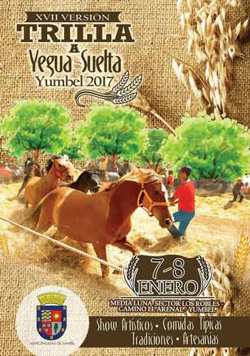 Fiesta Costumbrista Trilla a Yegua Suelta en Yumbel 2017 1 trilla a yegua suelta yumbel 2017