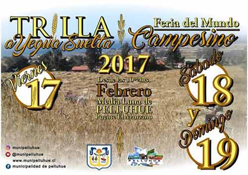 “Trilla a Yegua Suelta” y “Feria del Mundo Campesino” en Pelluhue