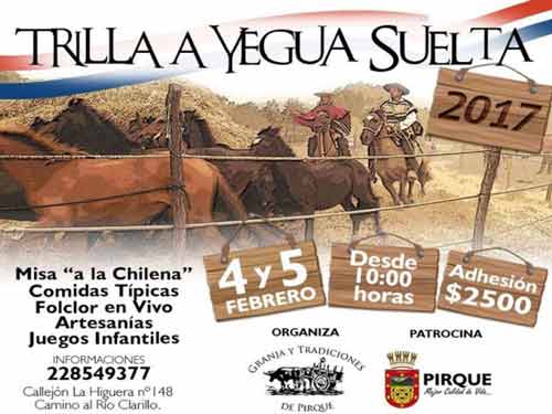 VII Trilla a Yegua Suelta en Pirque 1 Trilla a Yegua Suelta en Pirque identidadyfuturo.cl