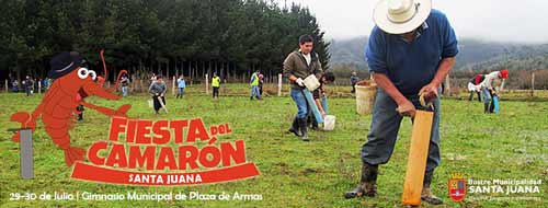 XIV Fiesta del Camarón en Santa Juana 1 XIV Fiesta del Camarón en Santa Juana
