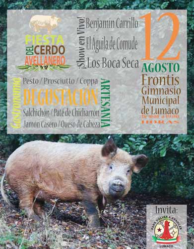 1ª Fiesta del Cerdo Avellanero en Lumaco