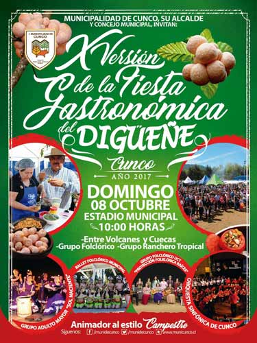 X Fiesta del Digüeñe en Cunco 1 X fiesta gastronómica del digueñe cunco