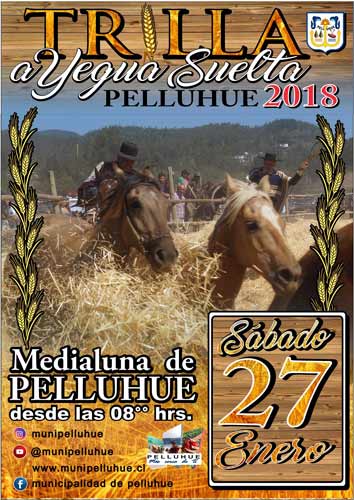 Trilla a Yegua Suelta en Pelluhue 1 Trilla a Yegua Suelta en Pelluhue