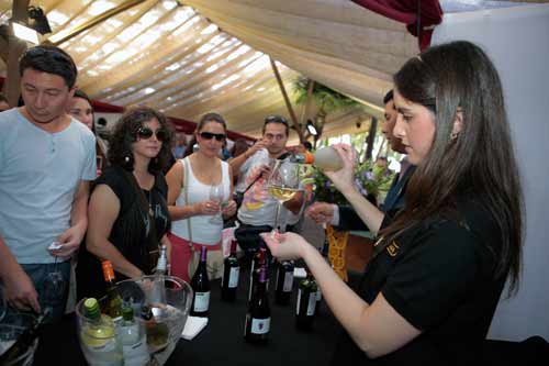 Fiesta de la Vendimia Isla de Maipo 2018