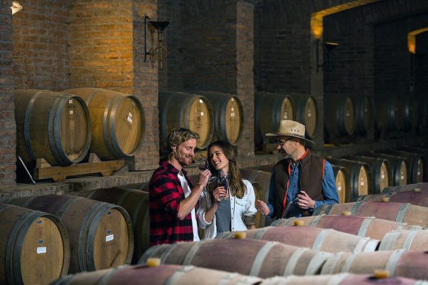 dia nacional del vino chileno en valle del maipo 600