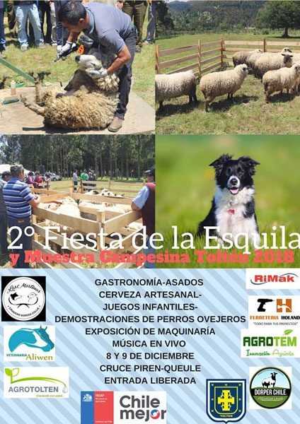 fiesta de la esquila tolten