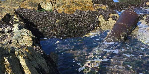 Cañones del siglo XVI son hallados en Caleta Tortel