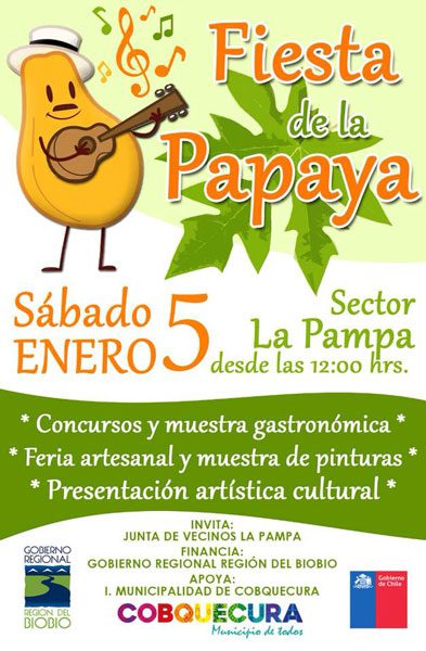 fiesta de la papaya en cobquecura