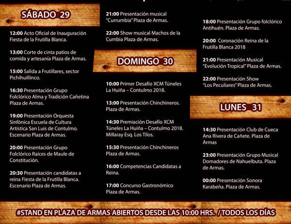 programa fiesta de la frutilla blanca contulmo 2018