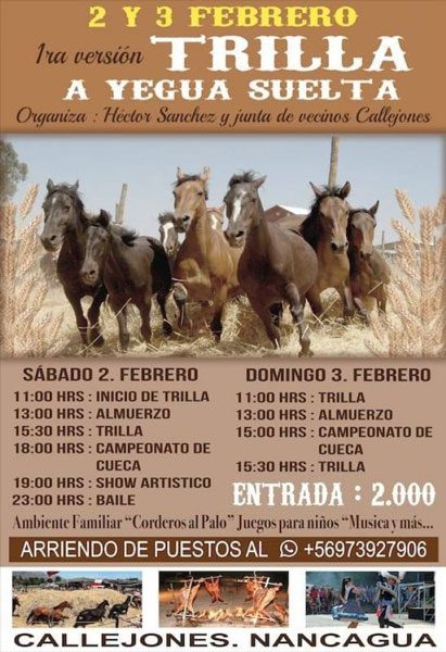 1ª Trilla a Yegua Suelta en Callejones, Nancagua