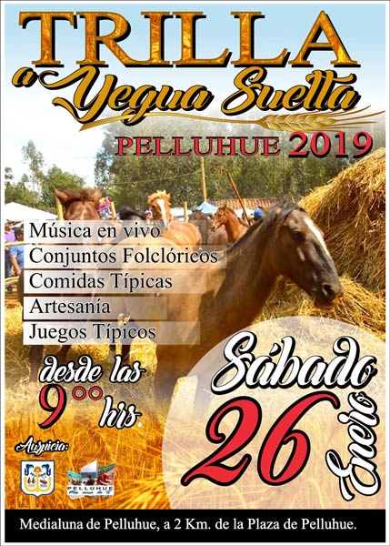 trilla a yegua suelta en pelluhue 2019
