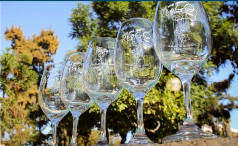 Fiesta de la Vendimia de Rengo 2019