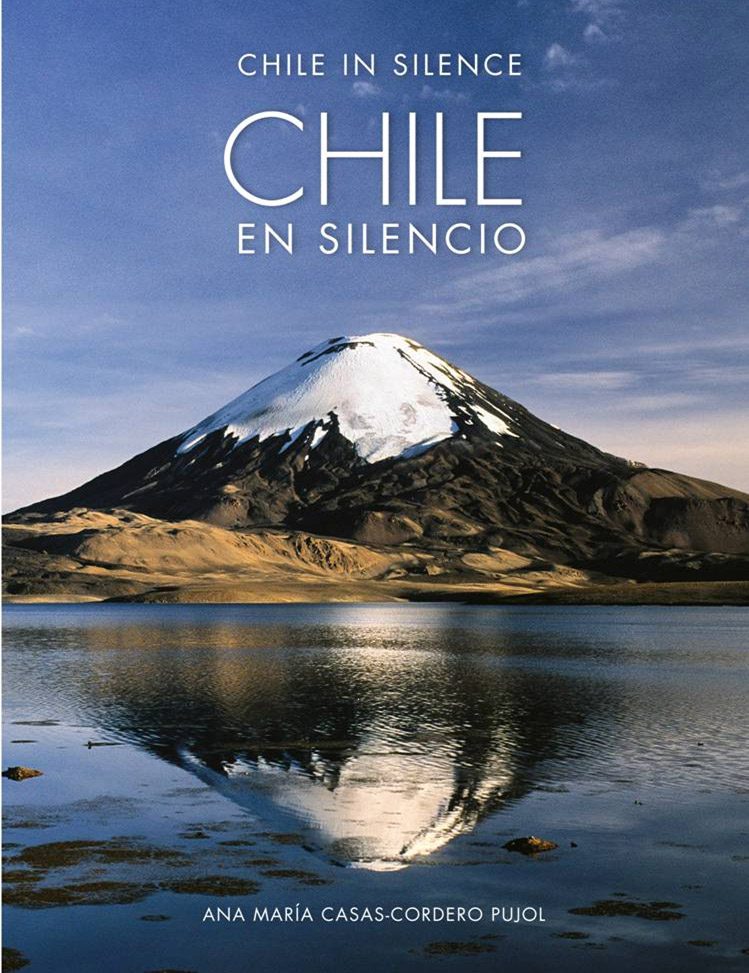 Chile en Silencio