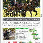 ENGANCHE villarrica