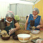 Sexta versión de la Expo Campesina Puerto Saavedra 2 multrun1