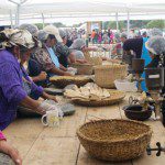 Sexta versión de la Expo Campesina Puerto Saavedra 4 multrun3