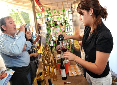 fiesta de la vendimia de buin