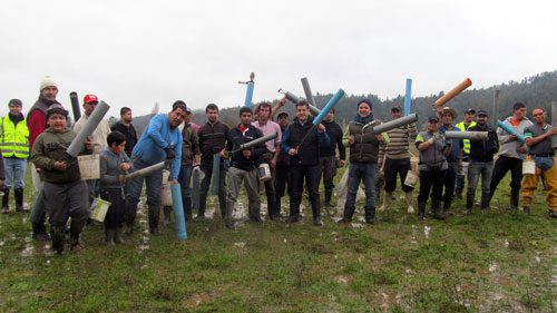 fiesta del camaron en santa juana