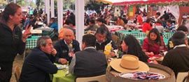 “Fiesta Huasa del Campo Chileno” en Charrúa, Cabrero
